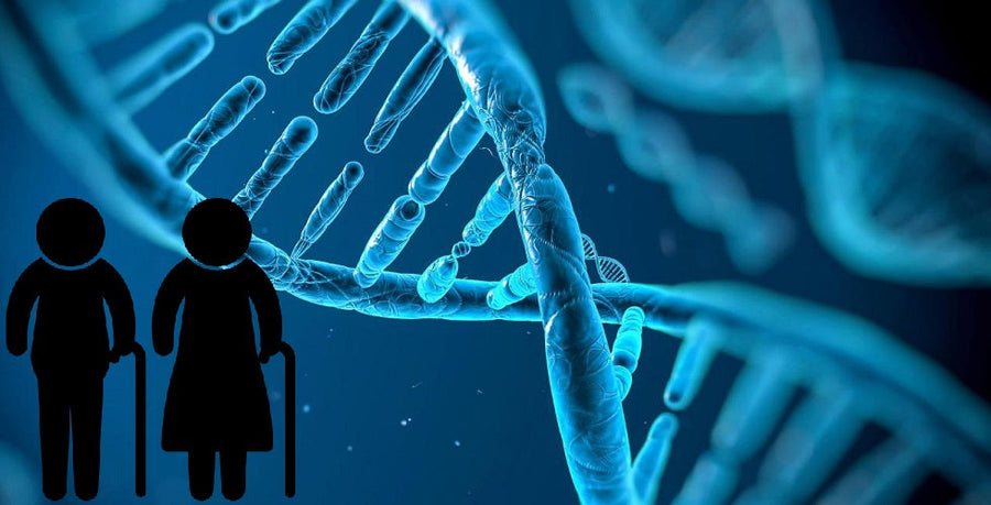 Is the secret to reversing aging in our genes?