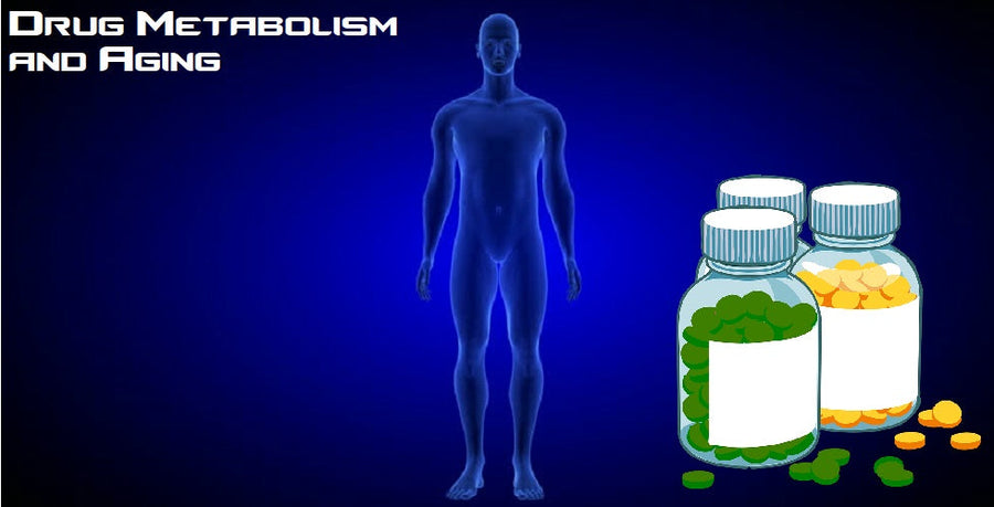 Drug Metabolism and Aging