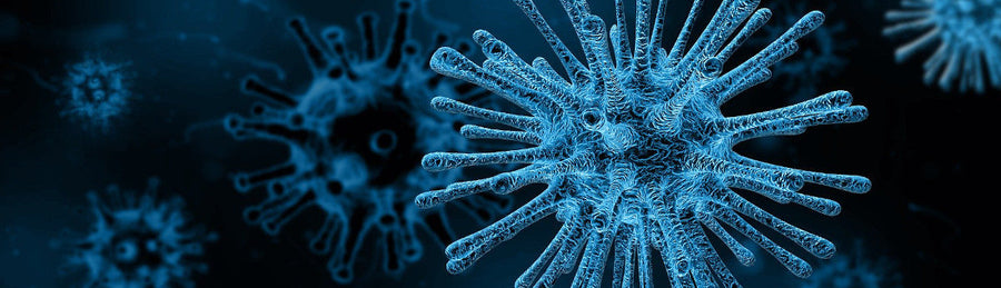 Blood pressure medication and coronavirus: Do ACE2 blockers increase the risk of COVID-19?